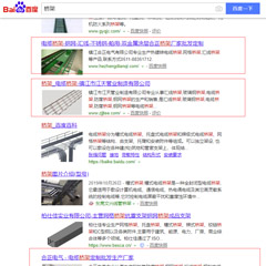 四川客户网站排名优化案例